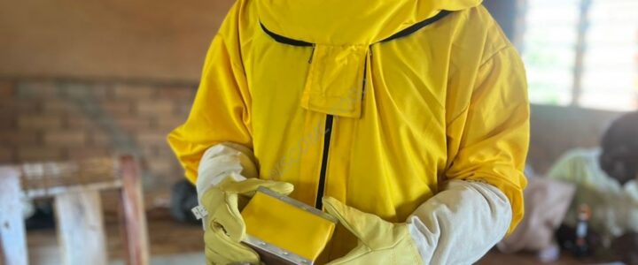 ISCOME organise une formation en apiculture au service de l’environnement et de l&rsquo;agriculture