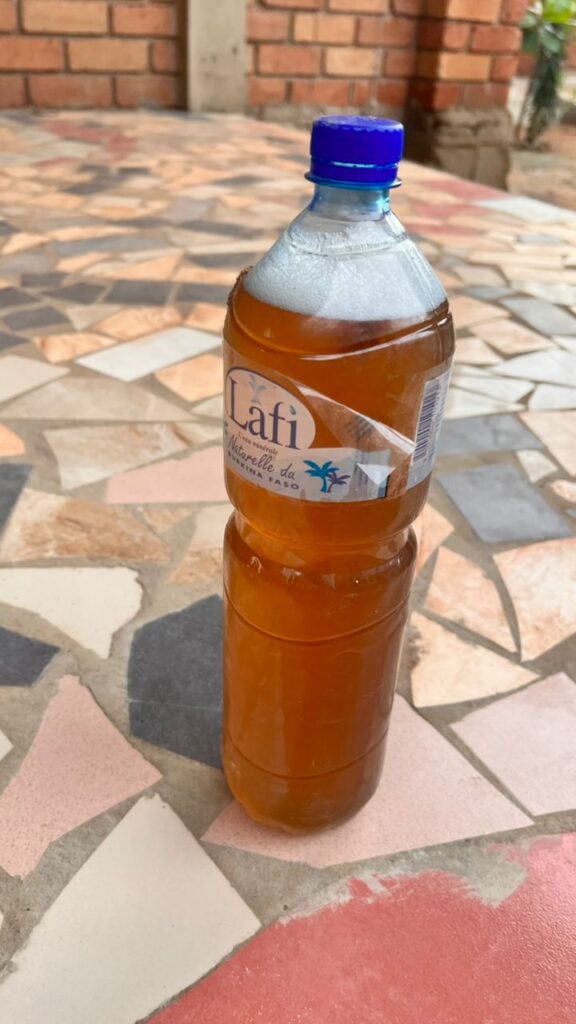 Kombucha  breuvage à base du champignon 